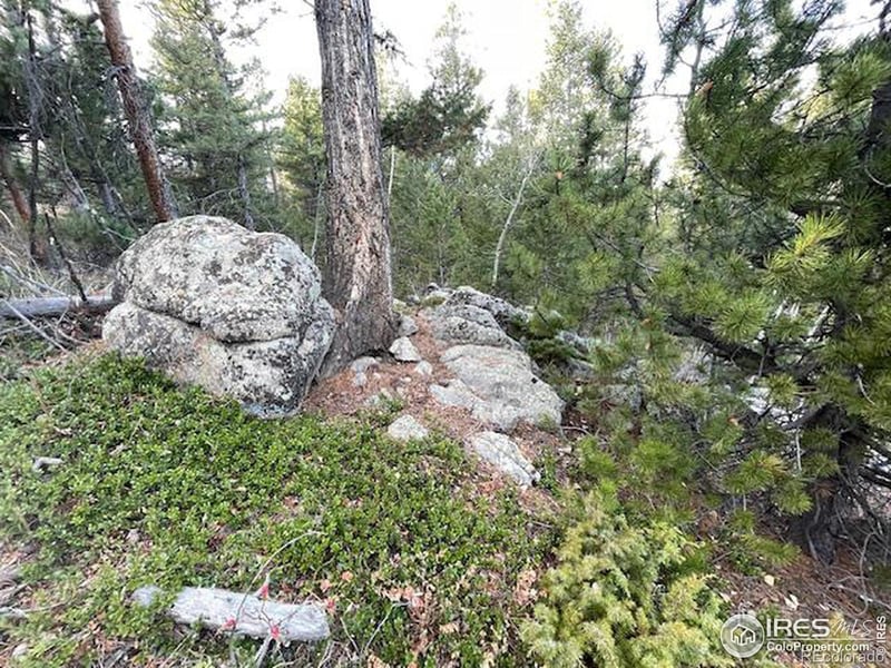 0 Hummer Dr, Nederland, CO 80466