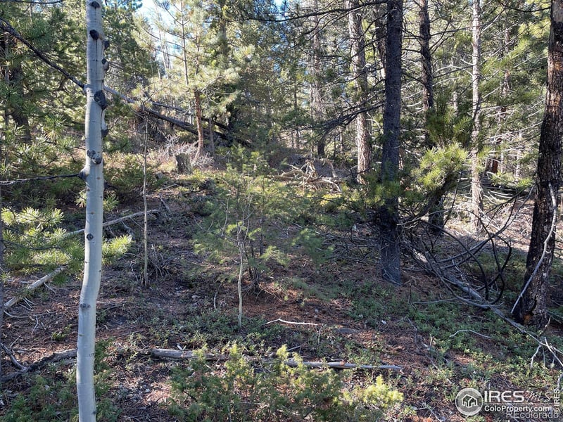 0 Hummer Dr, Nederland, CO 80466