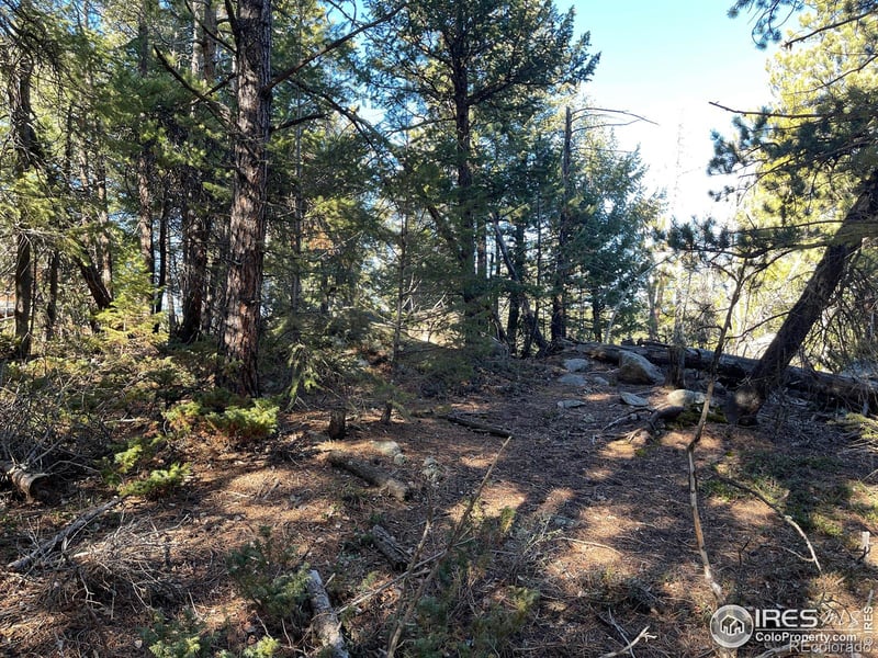 0 Hummer Dr, Nederland, CO 80466