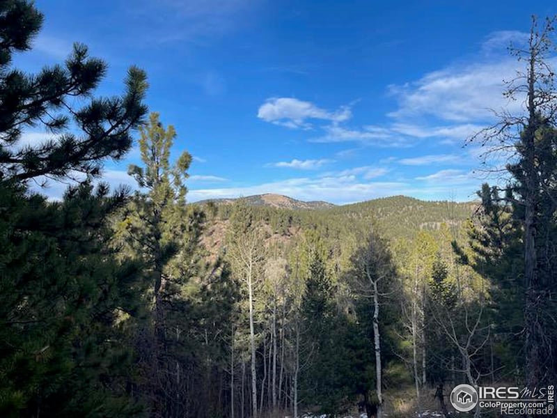 0 Hummer Dr, Nederland, CO 80466