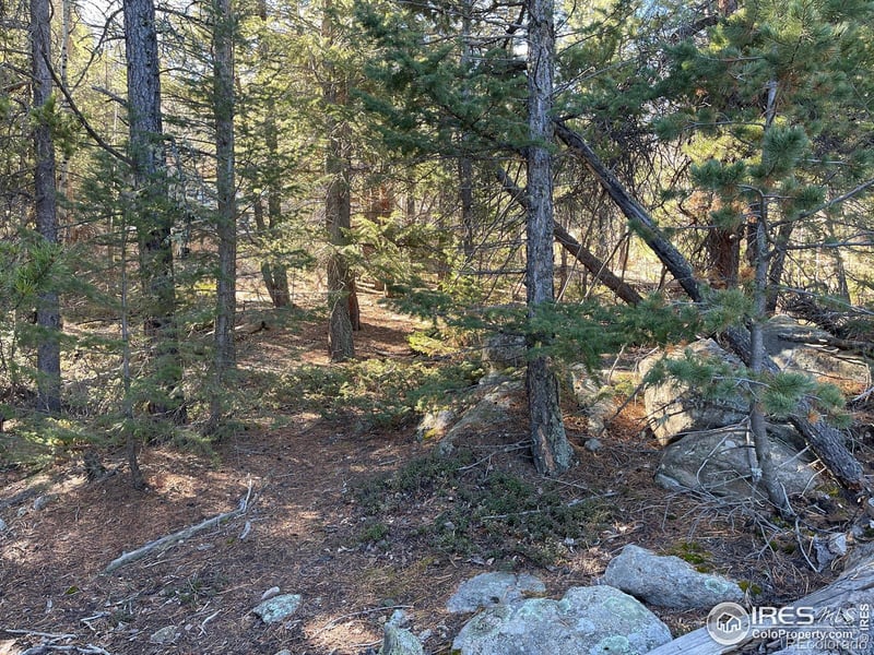 0 Hummer Dr, Nederland, CO 80466