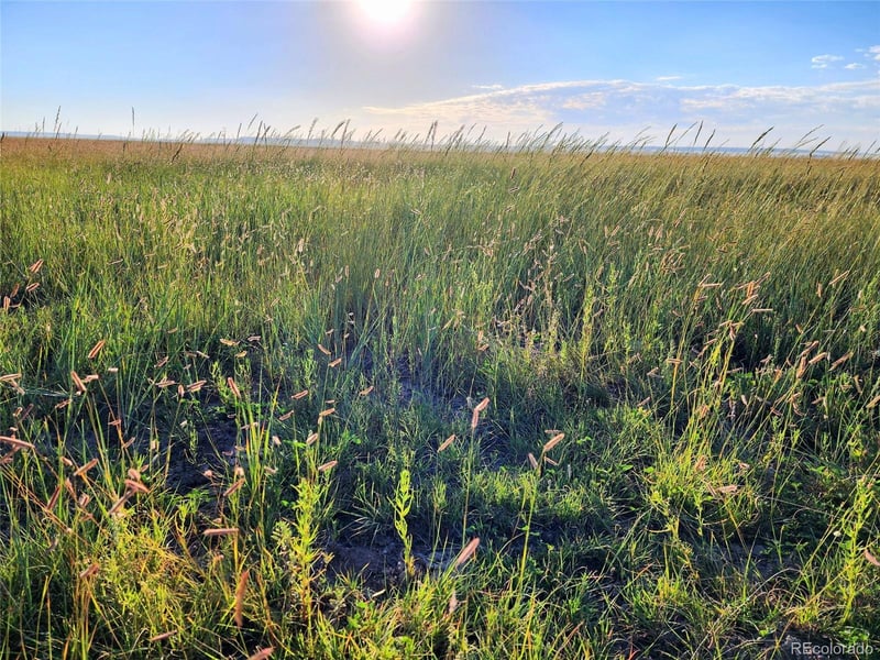 State Highway 390, Grover, CO 80729