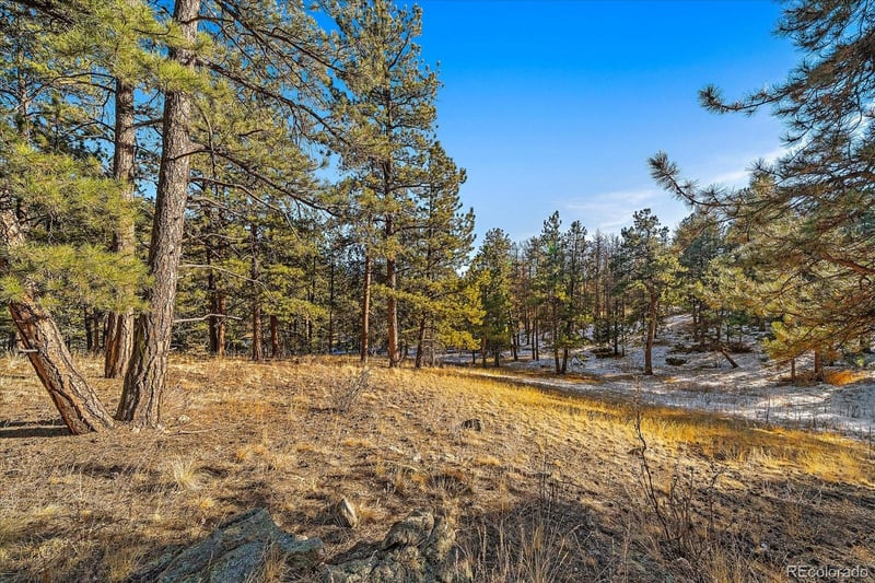 0000 Fish Pond Way, Pine, CO 80470