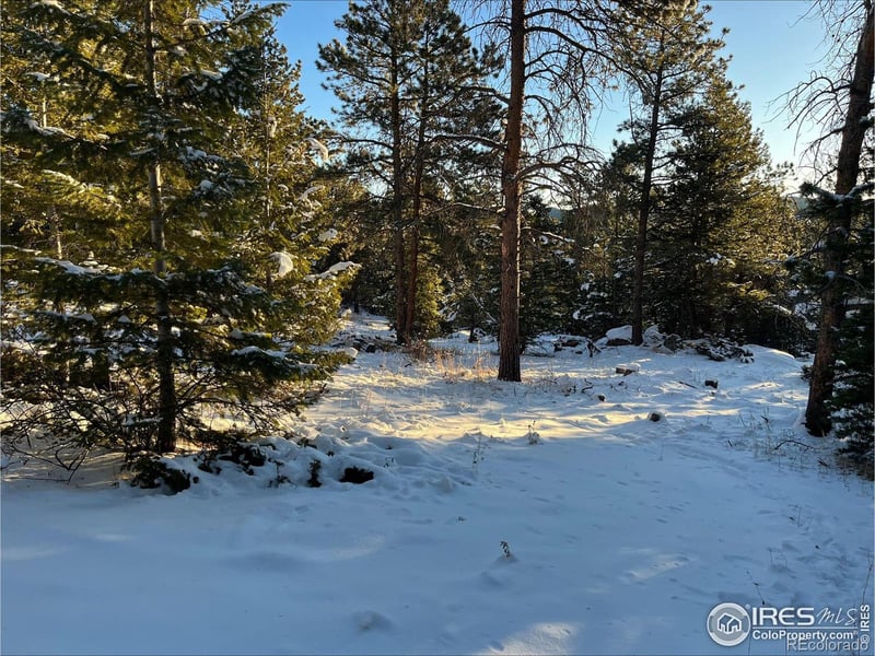 200 Hard Way Rd, Ward, CO 80481