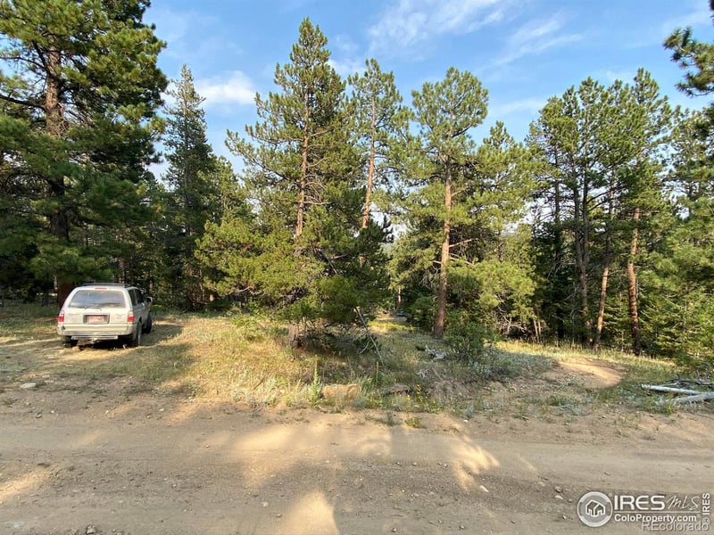 200 Hard Way Rd, Ward, CO 80481