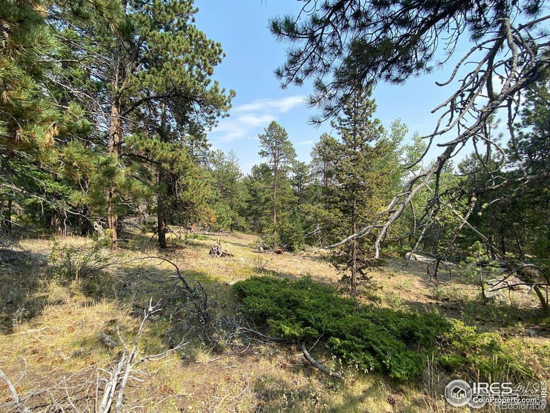 200 Hard Way Rd, Ward, CO 80481