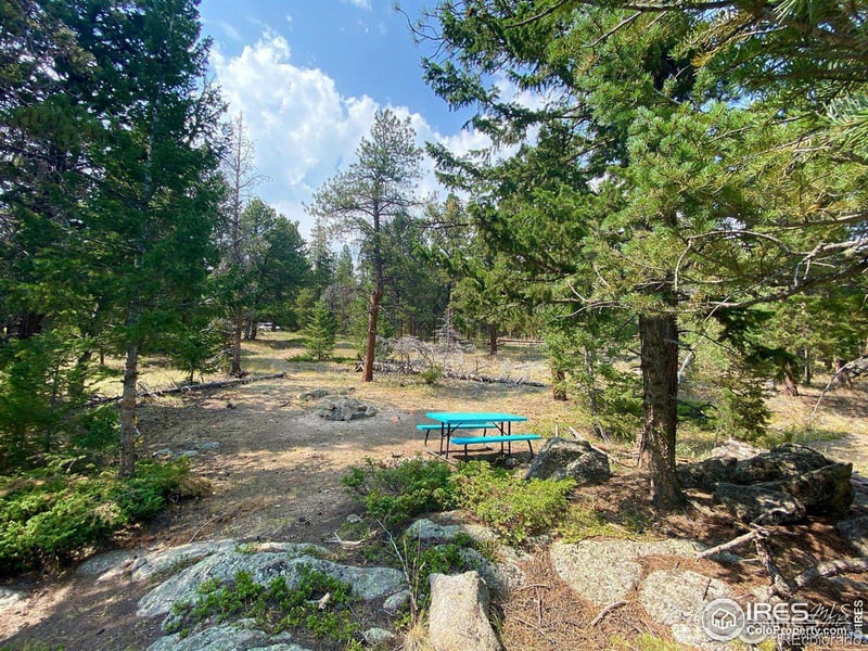 200 Hard Way Rd, Ward, CO 80481