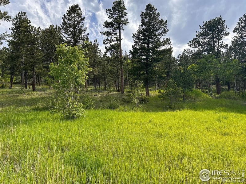 16950 Highway 7, Lyons, CO 80540