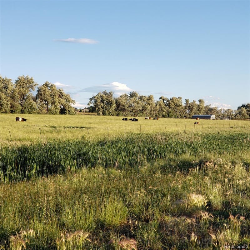 15665 E County Line Rd, Berthoud, CO 80513