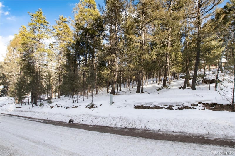 28756 Spruce Dr, Conifer, CO 80433