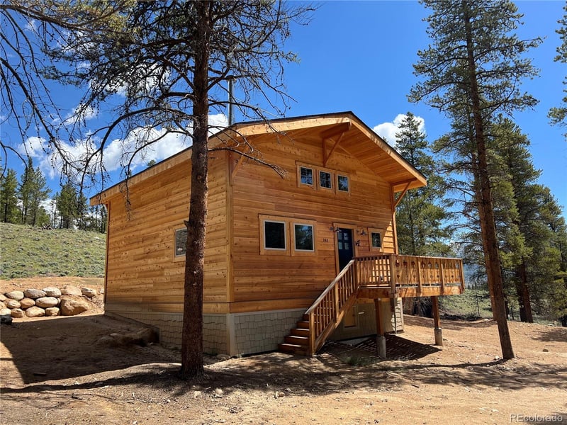 161 Birch Dr, Twin Lakes, CO 81251