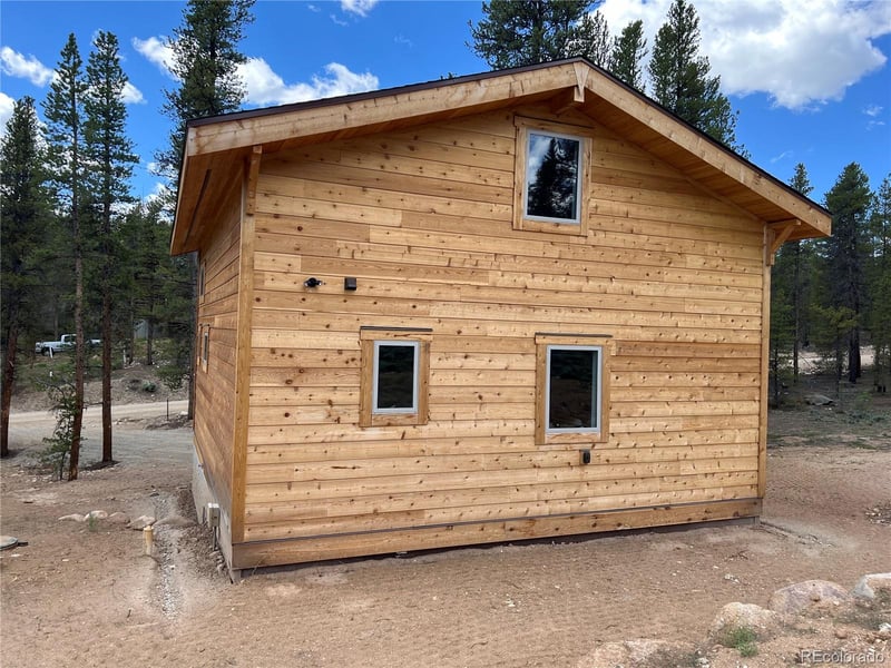 161 Birch Dr, Twin Lakes, CO 81251