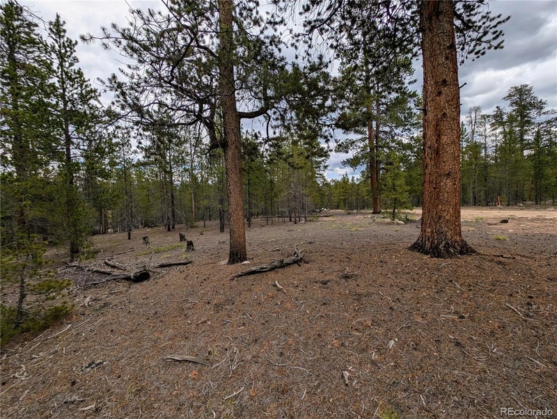 437 Juniper Dr, Twin Lakes, CO 81251