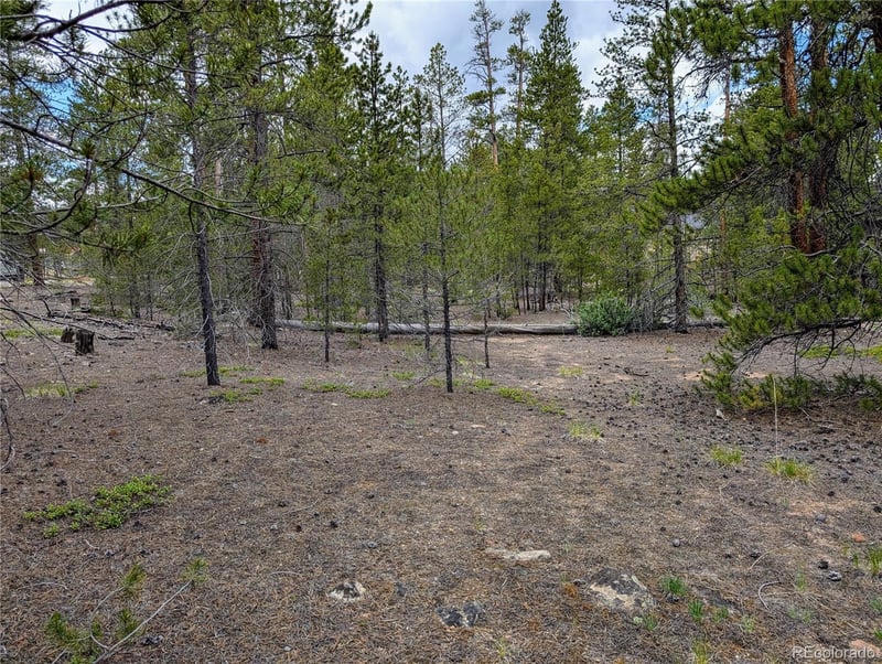 437 Juniper Dr, Twin Lakes, CO 81251