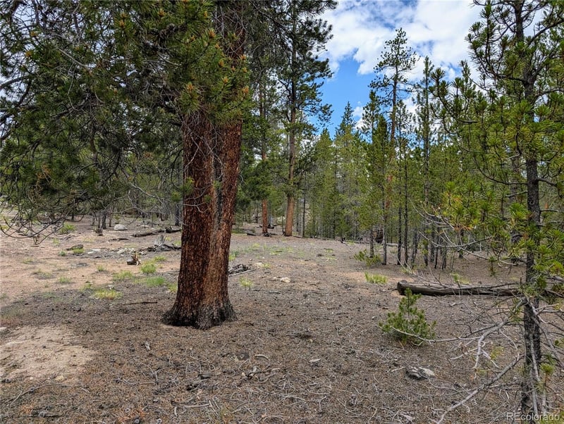 437 Juniper Dr, Twin Lakes, CO 81251