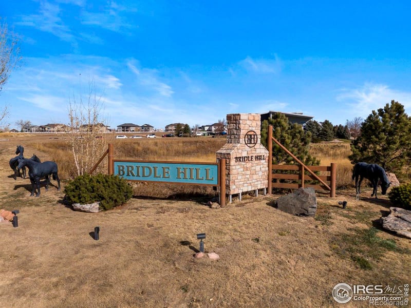 2642 Branding Iron Dr, Severance, CO 80524