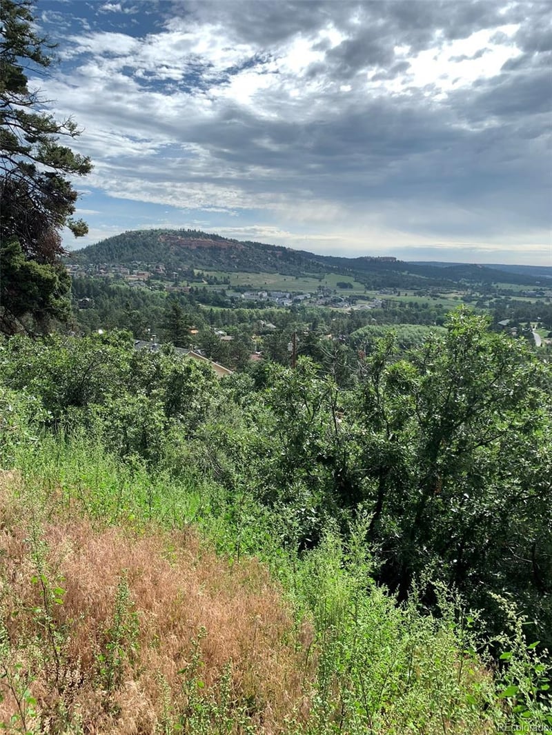 Lindo Ave, Palmer Lake, CO 80133