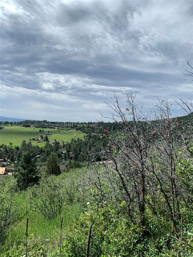 Lindo Ave, Palmer Lake, CO 80133
