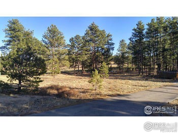 Fox Acres Dr, Red Feather Lakes, CO 80545