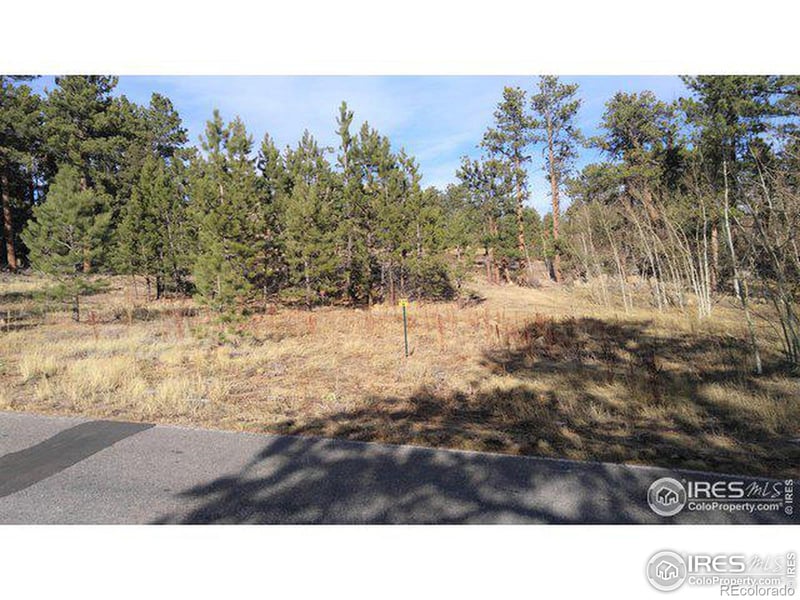 2 Fox Acres Dr, Red Feather Lakes, CO 80545