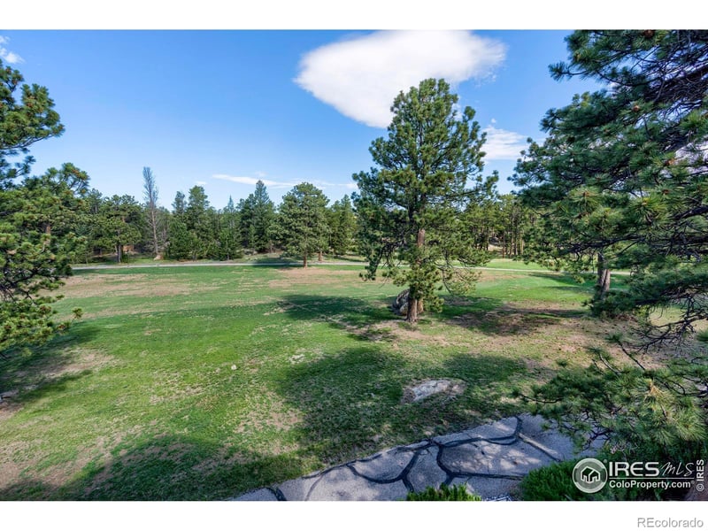 530 Fox Acres Dr, Red Feather Lakes, CO 80545