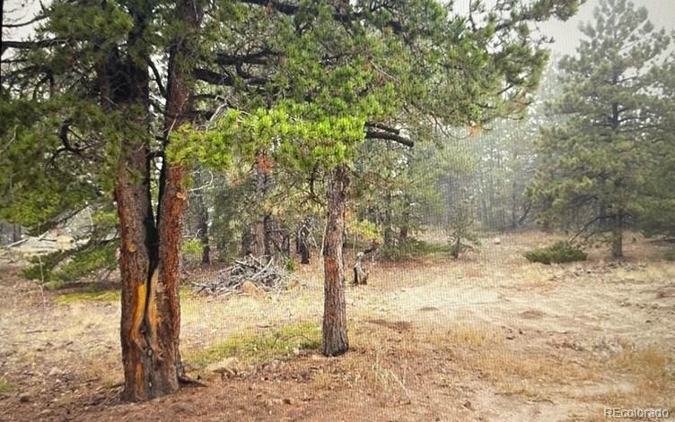275 Bigbee High Rd, Ward, CO 80481