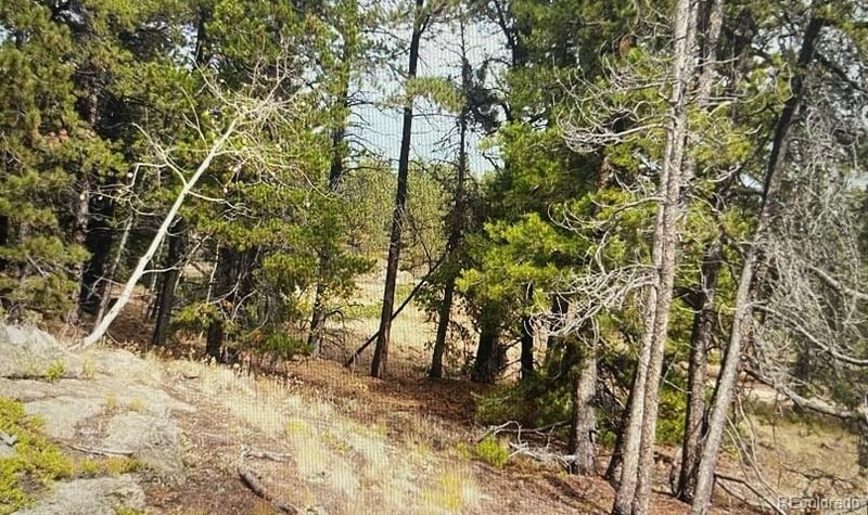 275 Bigbee High Rd, Ward, CO 80481