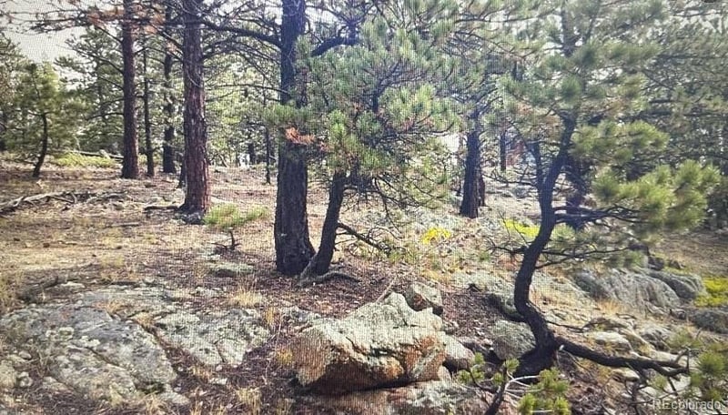 275 Bigbee High Rd, Ward, CO 80481