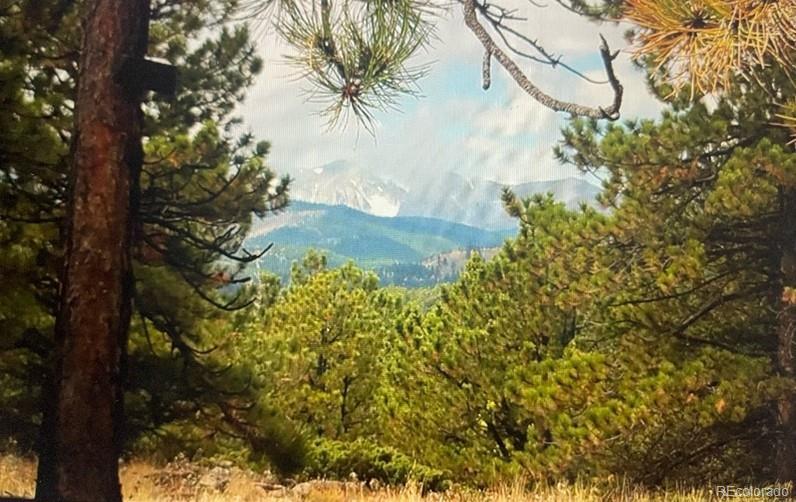 275 Bigbee High Rd, Ward, CO 80481