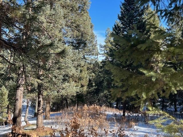 000 Madge Gulch Rd Lot 2503-071-00-008, Sedalia, CO 80135