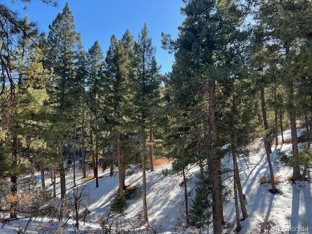 000 Madge Gulch Rd Lot 2503-071-00-008, Sedalia, CO 80135