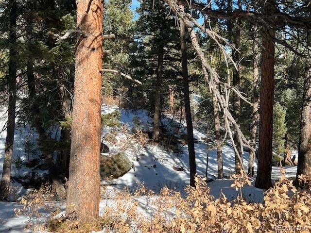 000 Madge Gulch Rd Lot 2503-071-00-008, Sedalia, CO 80135