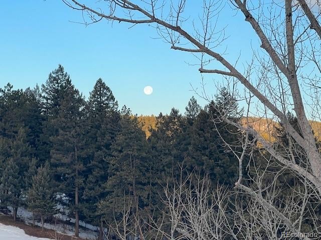 000 Madge Gulch Rd Lot 2503-071-00-008, Sedalia, CO 80135