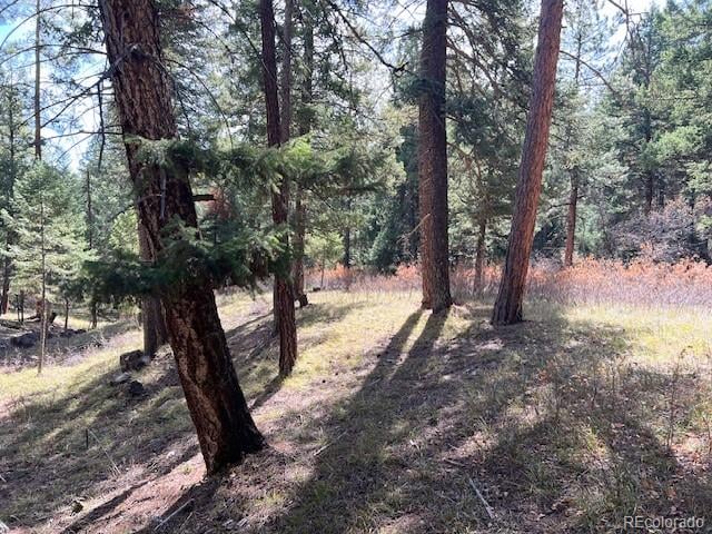 000 Madge Gulch Rd Lot 2503-071-00-008, Sedalia, CO 80135