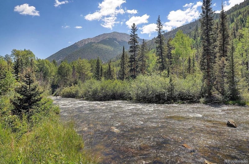22526 County Road 292, Nathrop, CO 81236