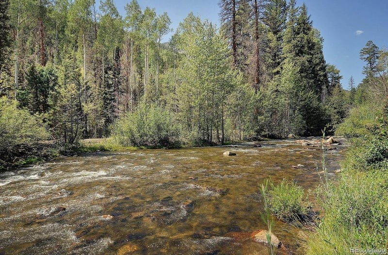 22526 County Road 292, Nathrop, CO 81236