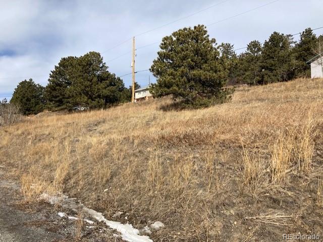 287 Boulder Canyon Dr Lot R0613702, Nederland, CO 80466