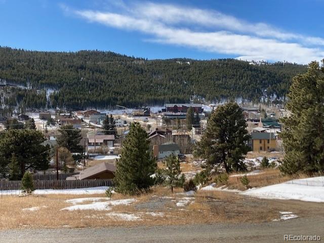 287 Boulder Canyon Dr Lot R0613702, Nederland, CO 80466