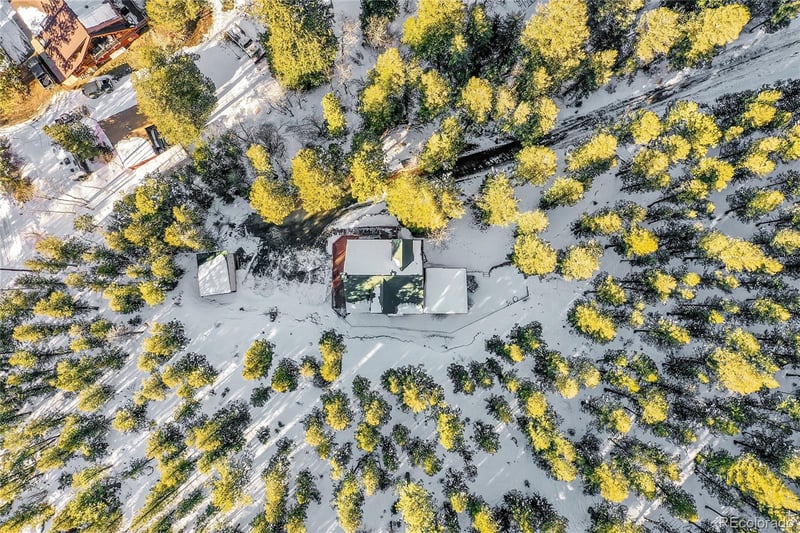 120 Capital Rd, Dumont, CO 80436