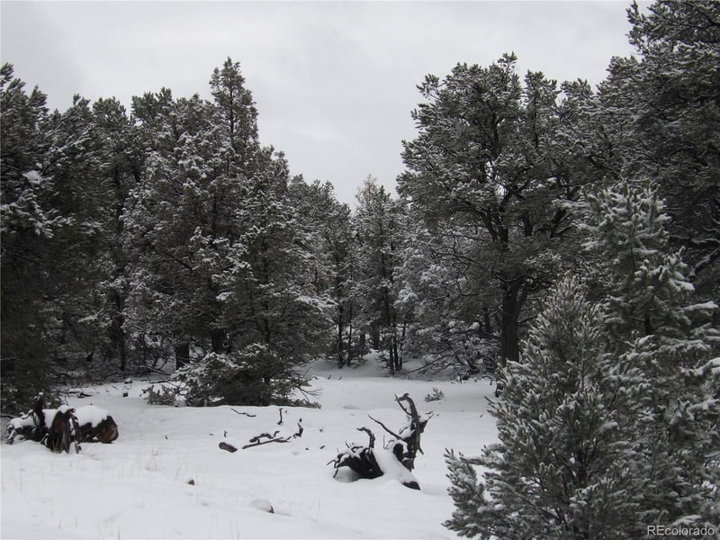 2119 - 2120 Oriole Overlook, Crestone, CO 81131