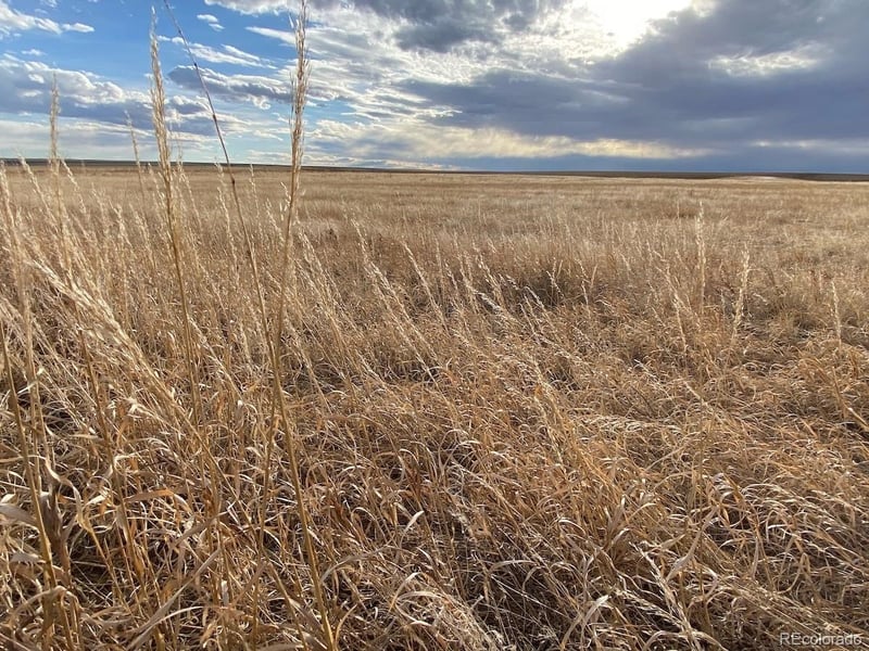 Tbd East 96th Ave, Byers, CO 80103