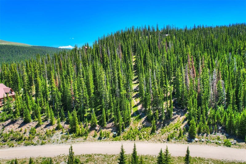 253 Cr 805 Lot 33, Breckenridge, CO 80424
