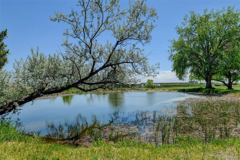 15250 E 132nd Ave, Brighton, CO 80601
