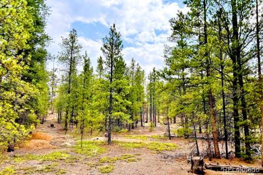 275 Mt Elbert Dr, Leadville, CO 81251