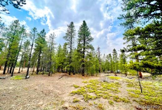 275 Mt Elbert Dr, Leadville, CO 81251
