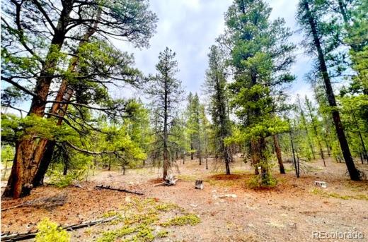 275 Mt Elbert Dr, Leadville, CO 81251