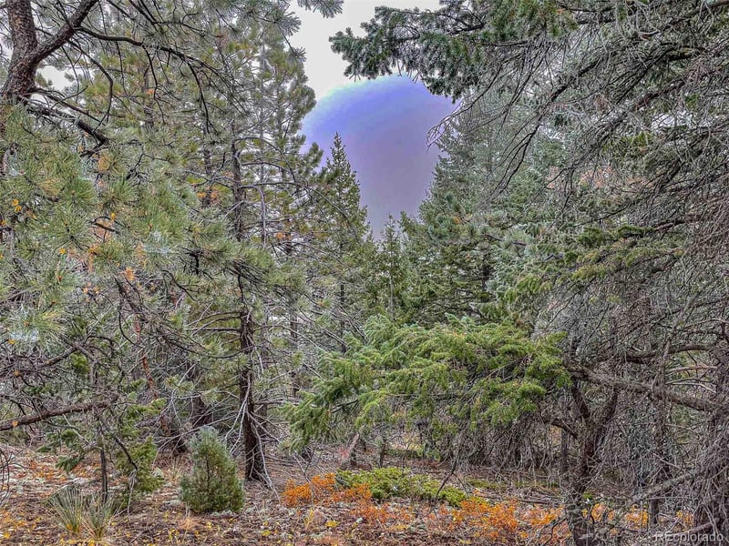 1111 Amazon Lode Dr, Jamestown, CO 80455