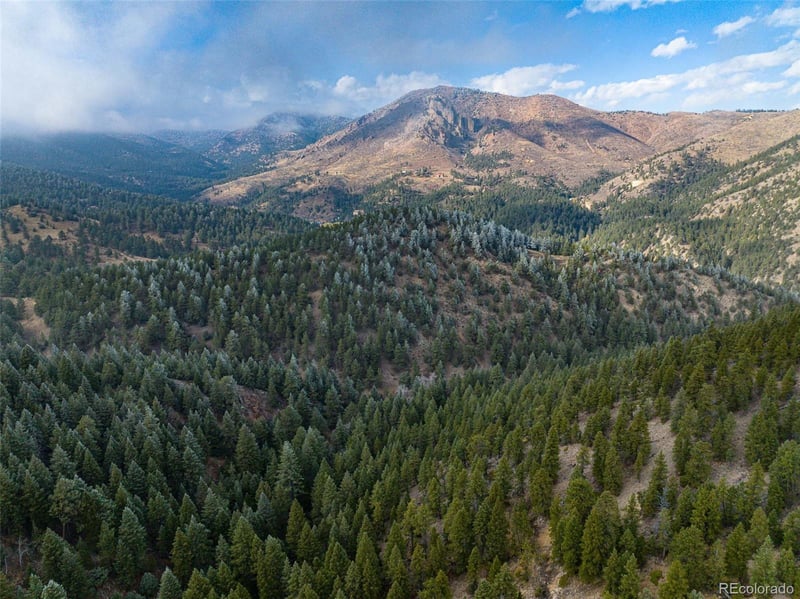 1111 Amazon Lode Dr, Jamestown, CO 80455
