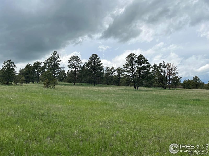 25220 E Co 86 Hw, Ramah, CO 80832