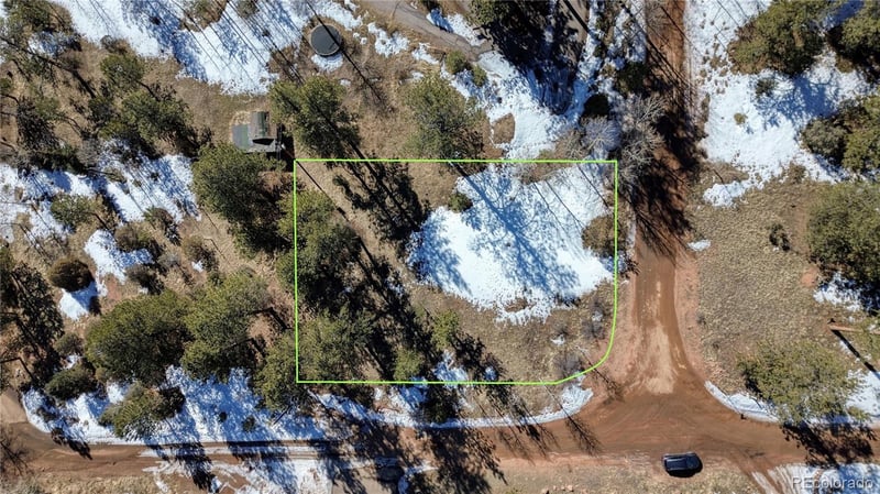 12362 Polly Dr, Pine, CO 80470